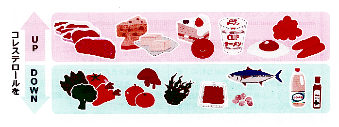 脂質異常症 イラスト