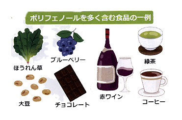 老化を抑制し細胞を若返らせるイラスト