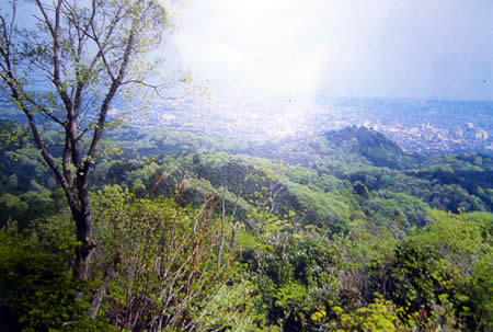 奥武蔵の天覧山